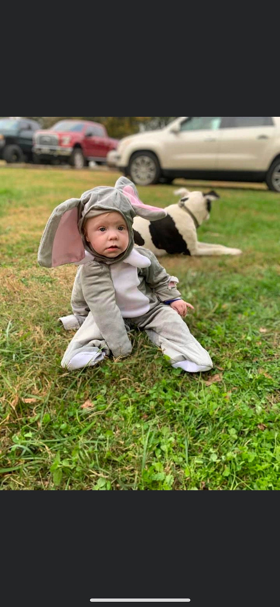 Hazley is registered to the contest to win money with this photo: baby, car, carnivore, dog, face, grass, grassland, happy, hat, headwear, jacket, lawn, mammal, people_in_nature, person, plant, recreation, tire, toddler, vehicle_door