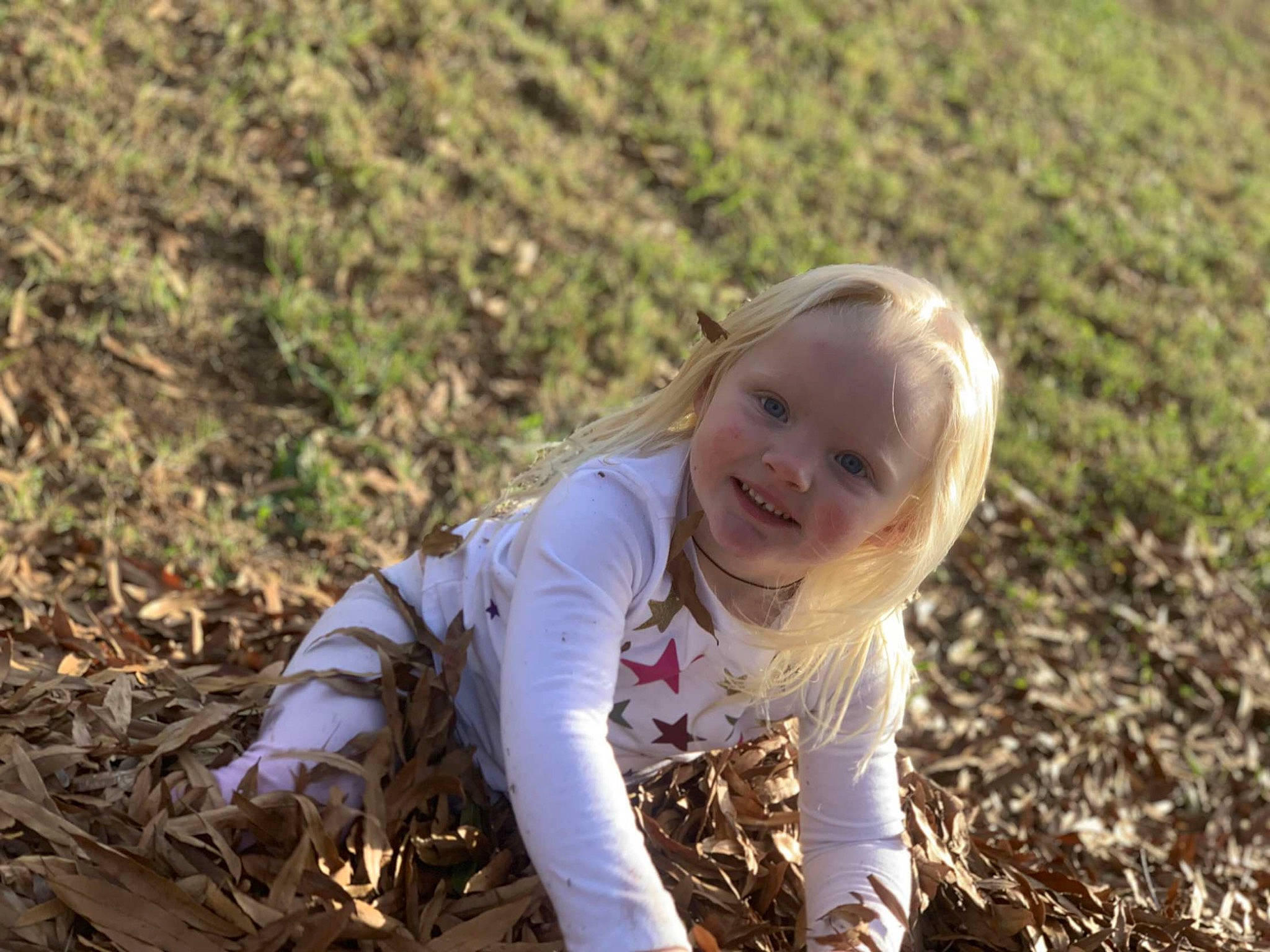Callie joined the competition — help win amazing prizes! agriculture, blond, field, flash_photography, grass, grass_family, grassland, happy, joy, landscape, laugh, people_in_nature, person, plant, plantation, portrait_photography, prairie, sitting, smile, soil