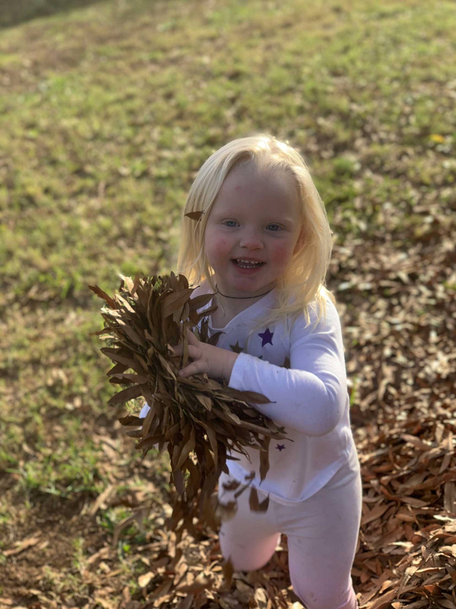 Callie joined the competition — help win amazing prizes! baby_toddler_clothing, blond, child, field, fun, grass, grass_family, grassland, happy, head, joy, leaf, meadow, nature, people_in_nature, person, plant, prairie, smile, soil