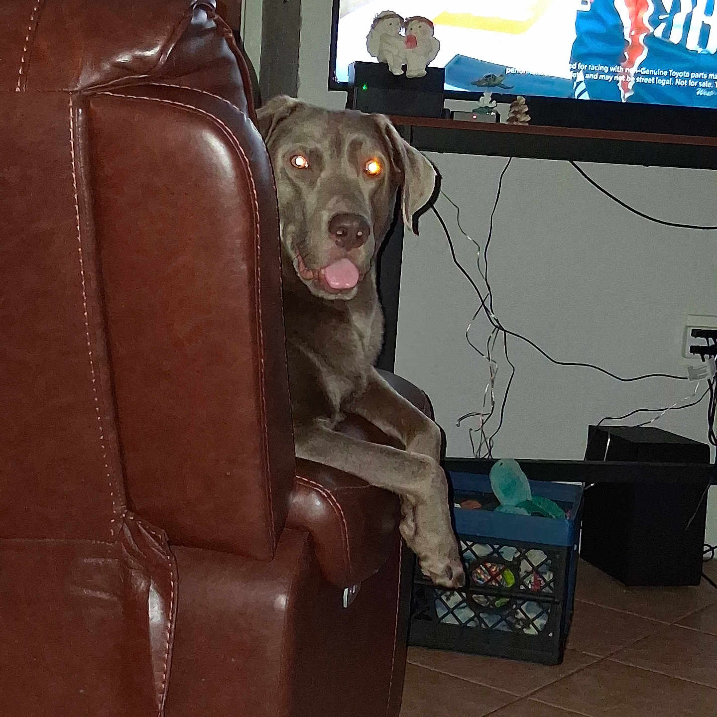 Sarge