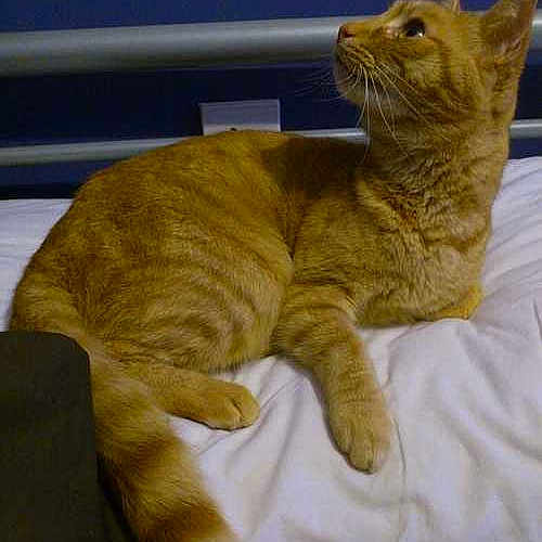 Dave is registered to the contest to win money with this photo: