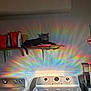 appliances, cat, cleaning_supplies, colorful, cozy, domestic, dryer, fabric, feline, household_items, indoor, laundry_room, pet, rainbow_light, relaxed, shadow, shelf, still_life, wall, washing_machine