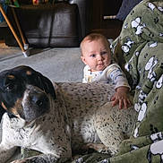 Waylon is registered to the contest to win money with this photo: baby, dog, blanket, living_room, leather_chair, carpet, hand, spot, snoopy, pattern, pet, child, indoor, cozy, fur, seated, curious, resting, animal, comfort
