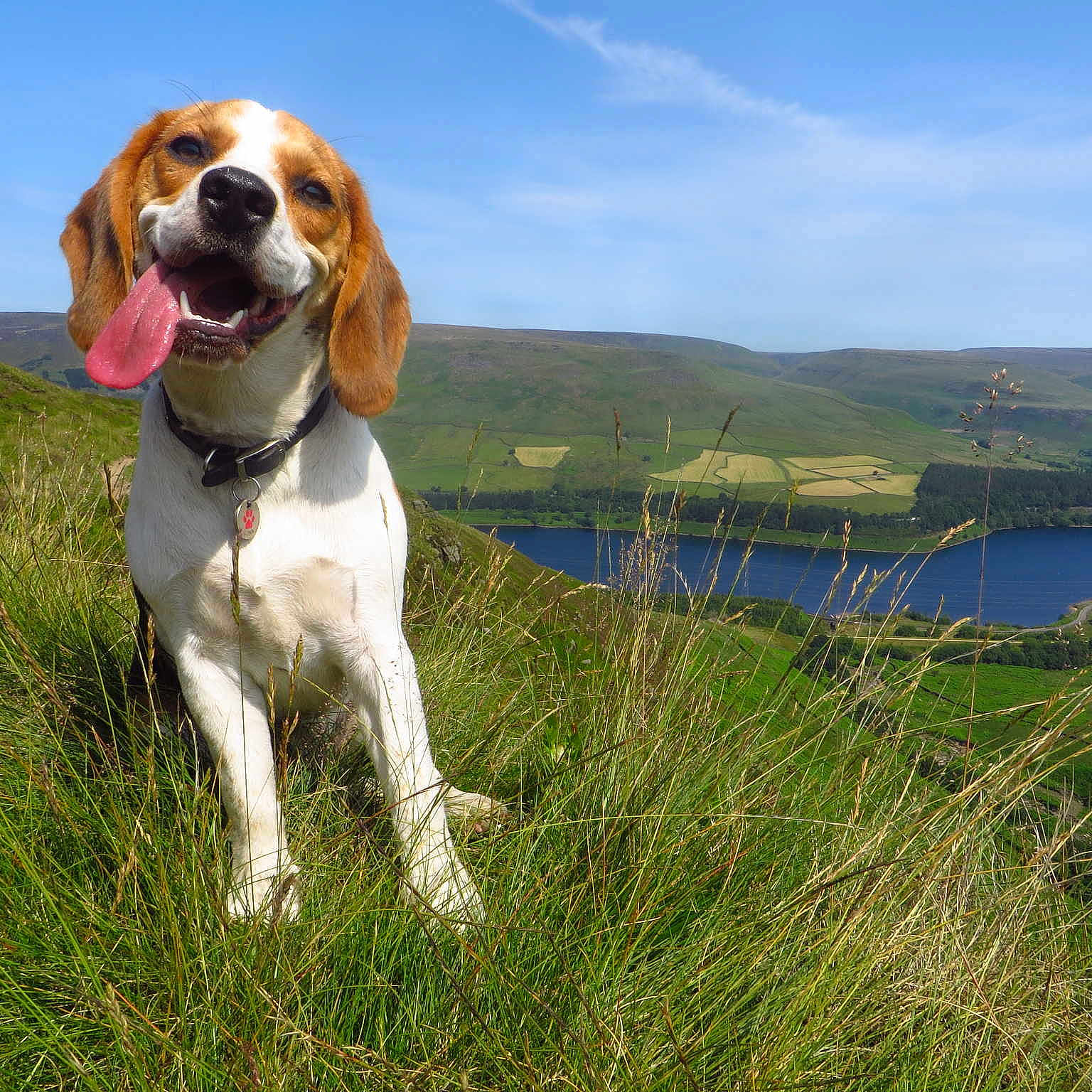 Luna is registered to the contest to win money with this photo: