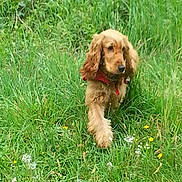 Pacha participe au concours pour gagner de l'argent avec cette photo :