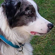 Jungle a rejoint le concours — aidez-le/la à gagner de superbes lots !