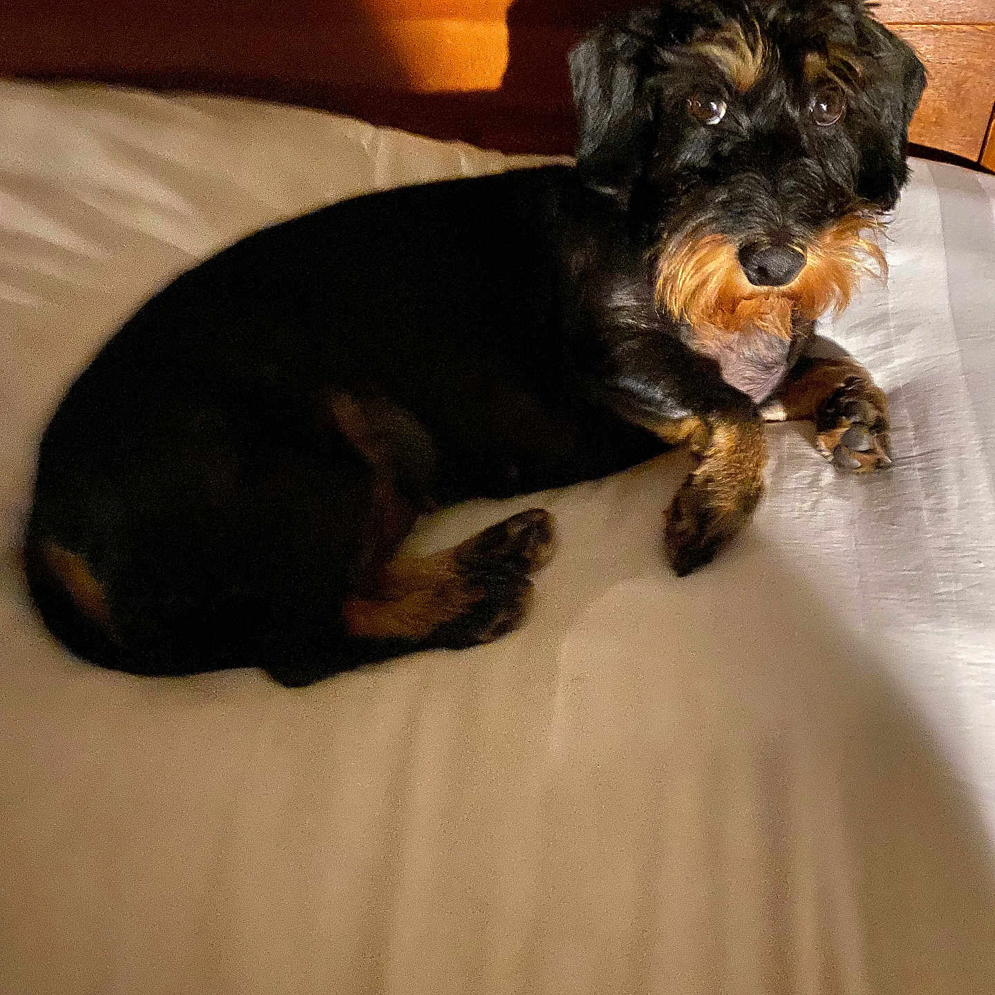 Tcharlie