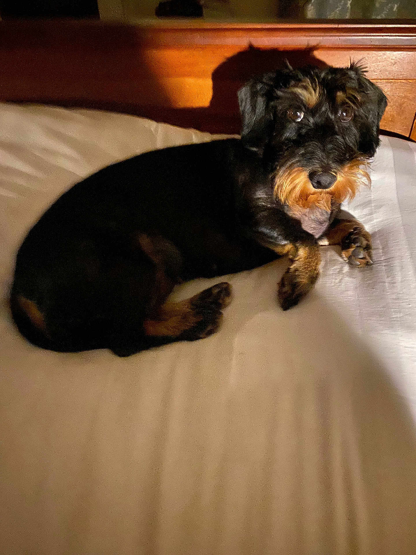 Tcharlie