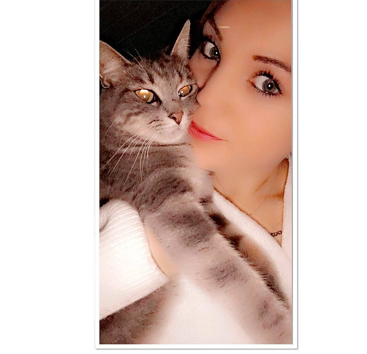 Princesse a rejoint le concours — aidez-le/la à gagner de superbes lots ! carnivore, cat, ear, eyebrow, eyelash, fawn, felidae, fur, gesture, hand, happy, head, long_hair, nose, plant, selfie, small_to_medium_sized_cats, tree, vertebrate, whiskers