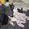 animal, bag, bed, bedroom, blanket, cat, comfort, cozy, curious, domestic, furniture, indoor, pet, plush_bunny, purse, resting, soft_toys, stuffed_toy, tortoiseshell_cat, wall_art