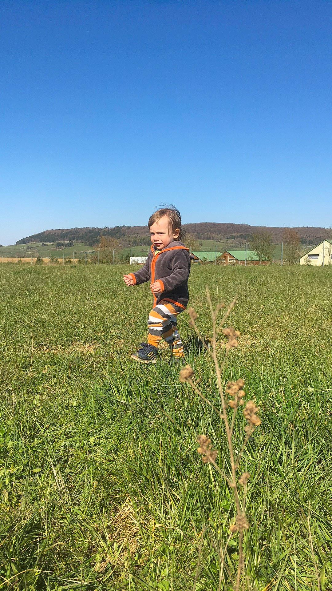 Liam participe au concours pour gagner de l'argent avec cette photo : child, farm, field, grass, grass_family, grassland, hill, land_lot, landscape, meadow, pasture, people_in_nature, person, plain, plant, prairie, sky, soil, steppe, wildflower