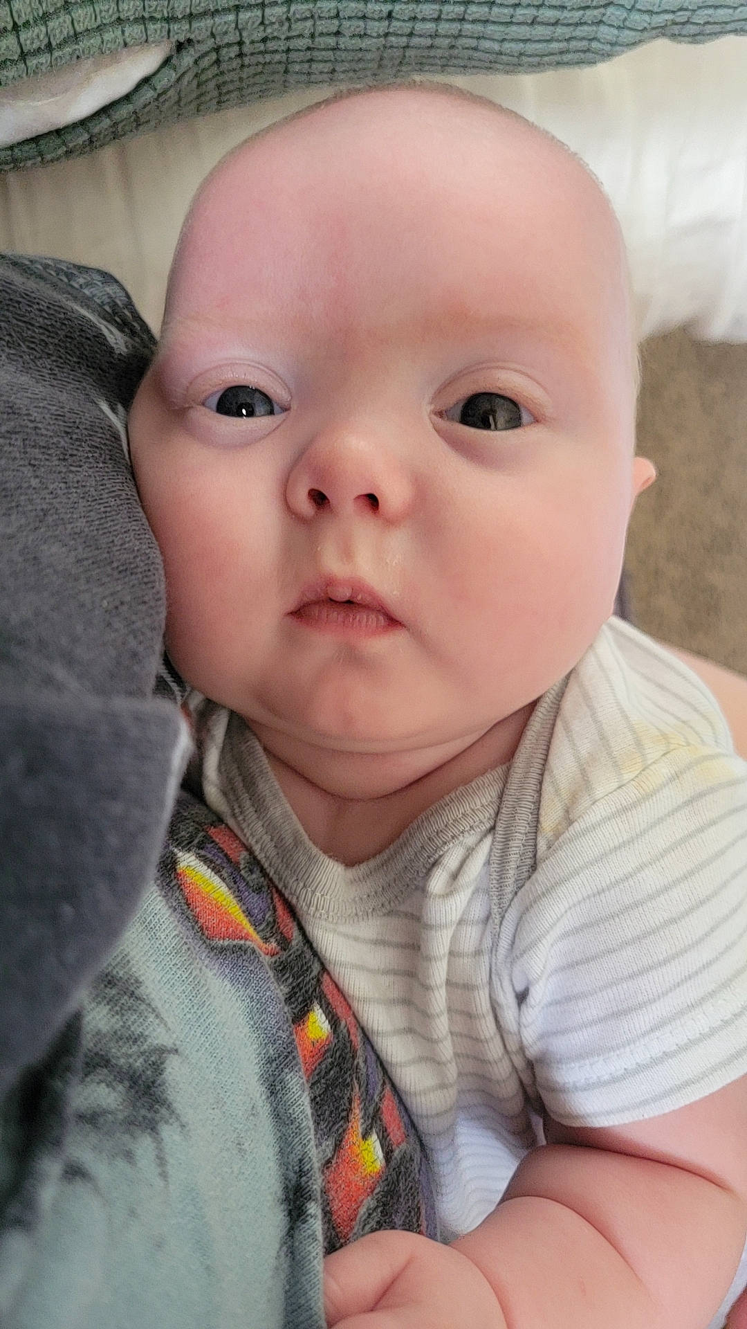 Dax joined the competition — help win amazing prizes! baby, baby_toddler_clothing, cheek, collar, comfort, eye, eyebrow, eyelash, face, gesture, happy, head, iris, lip, mouth, nose, person, skin, sleeve, smile