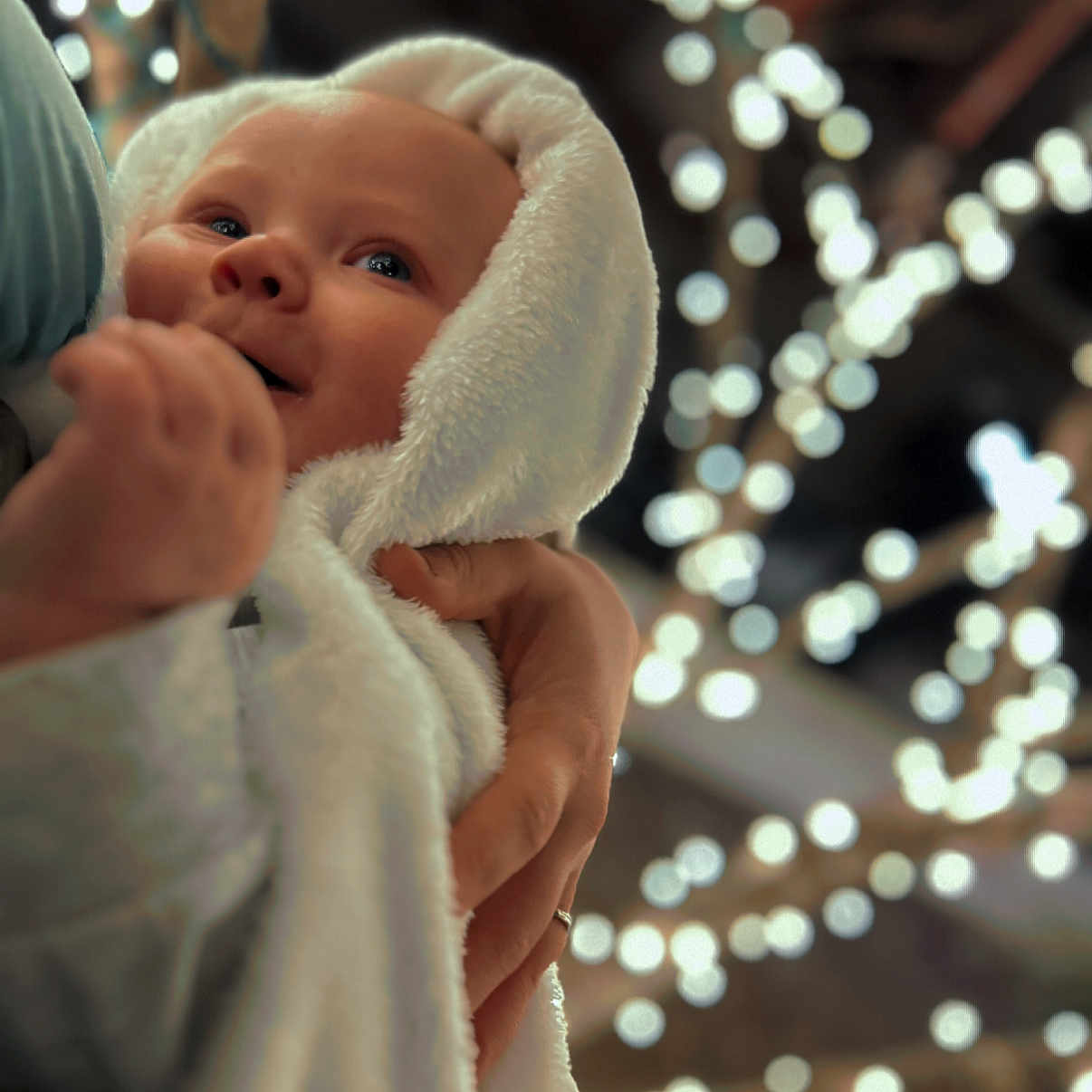 Reed is registered to the contest to win money with this photo: baby, beauty, child, christmas, christmas_decoration, event, flash_photography, fun, fur, gesture, happy, holiday, lip, pattern, people_in_nature, portrait_photography, toddler, tradition, tree, winter