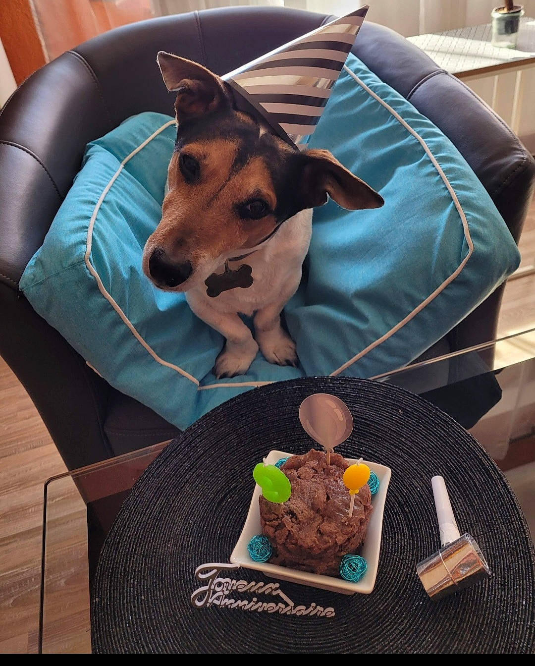 Looki participe au concours pour gagner de l'argent avec cette photo : canidae, carnivore, chair, comfort, comfort_food, companion_dog, couch, dog, dog_bed, dog_breed, dog_supply, fawn, food, green, linens, recipe, sitting, sporting_group, toy_dog, working_animal