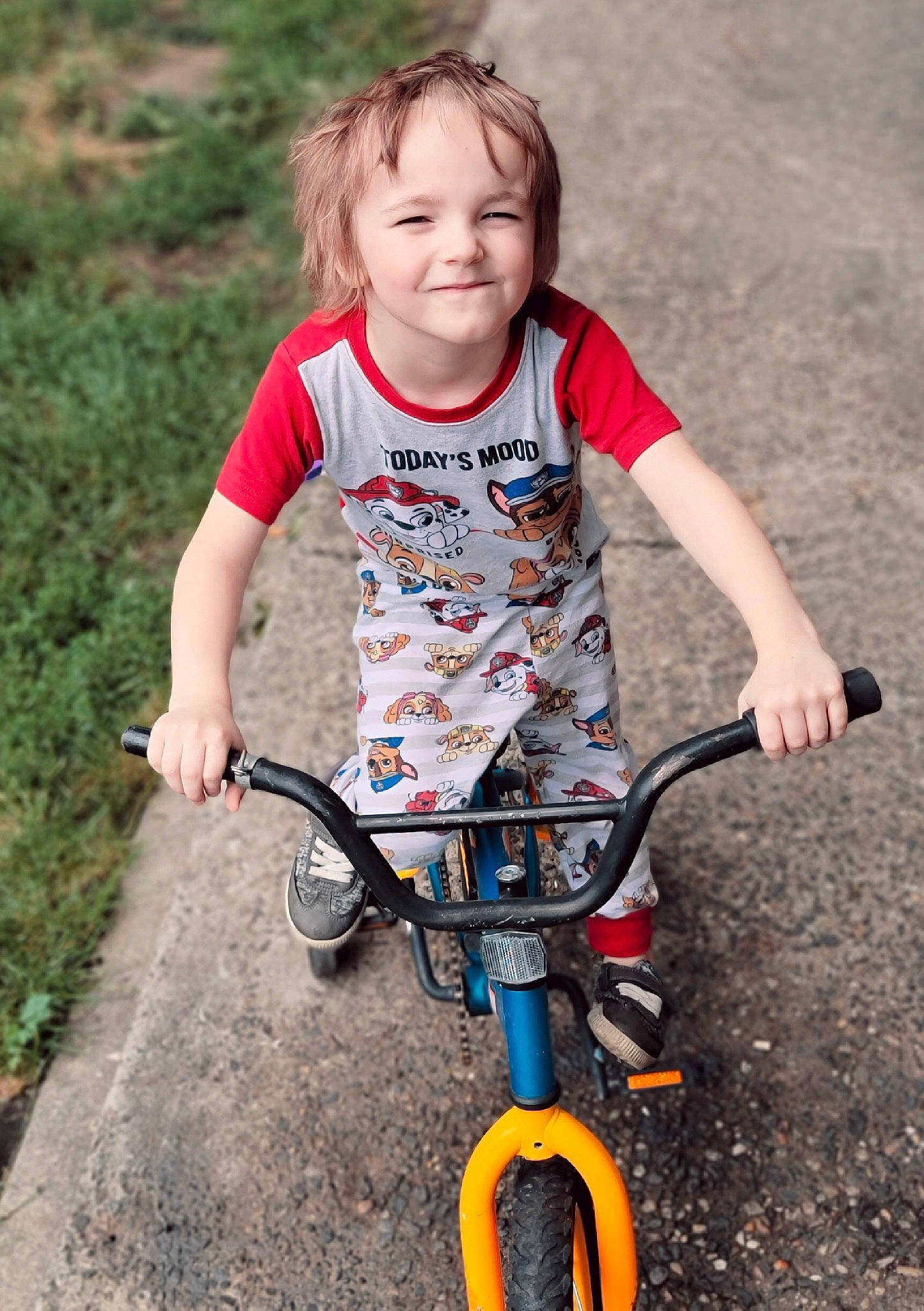 Axton is registered to the contest to win money with this photo: bicycle, bicycle_accessory, bicycle_fork, bicycle_frame, bicycle_handlebar, bicycle_tire, bicycles_equipment_and_supplies, cycling, face, grass, happy, joy, nature, people_in_nature, person, photograph, plant, smile, summer, tire