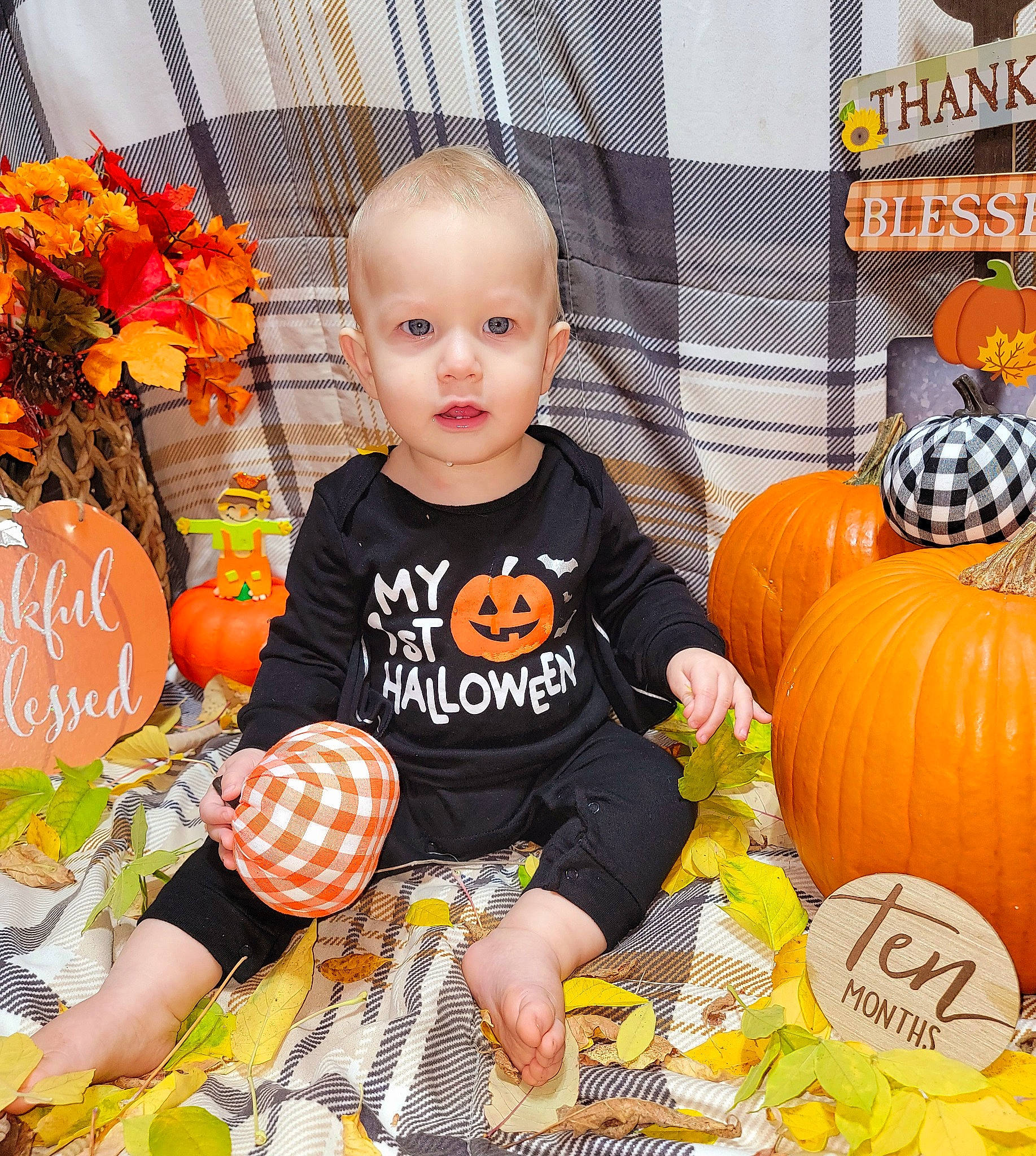 Emerson joined the competition — help win amazing prizes! baby, baby_toddler_clothing, calabaza, child, cucurbita, flower, gourd, happy, natural_foods, orange, person, plant, pumpkin, shorts, squash, t_shirt, toddler, vegetable, whole_food, winter_squash