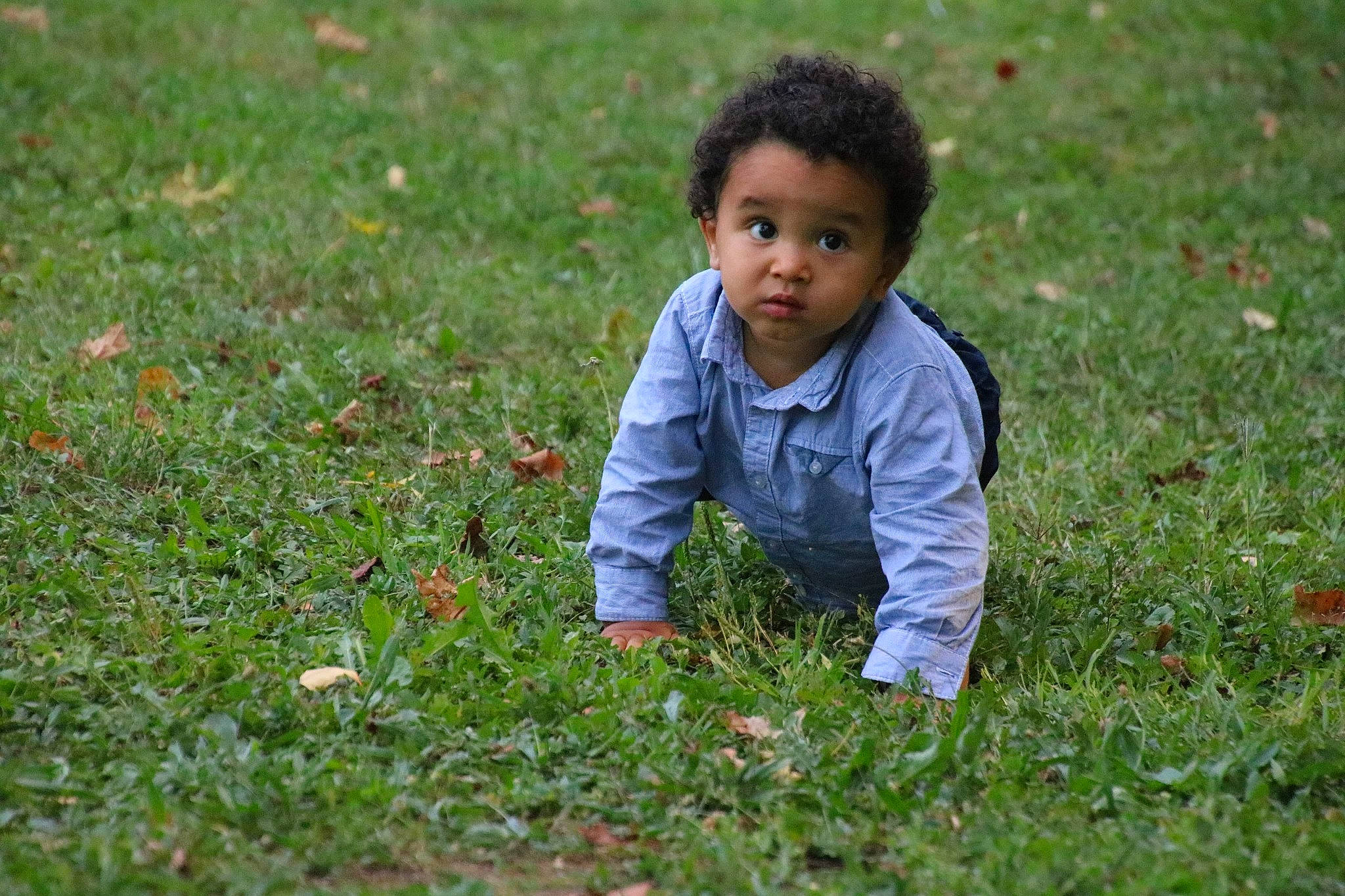 Eden a rejoint le concours — aidez-le/la à gagner de superbes lots ! adaptation, child, fun, grass, grass_family, grassland, green, happy, lawn, leaf, male, meadow, people_in_nature, person, plant, play, sitting, smile, toddler