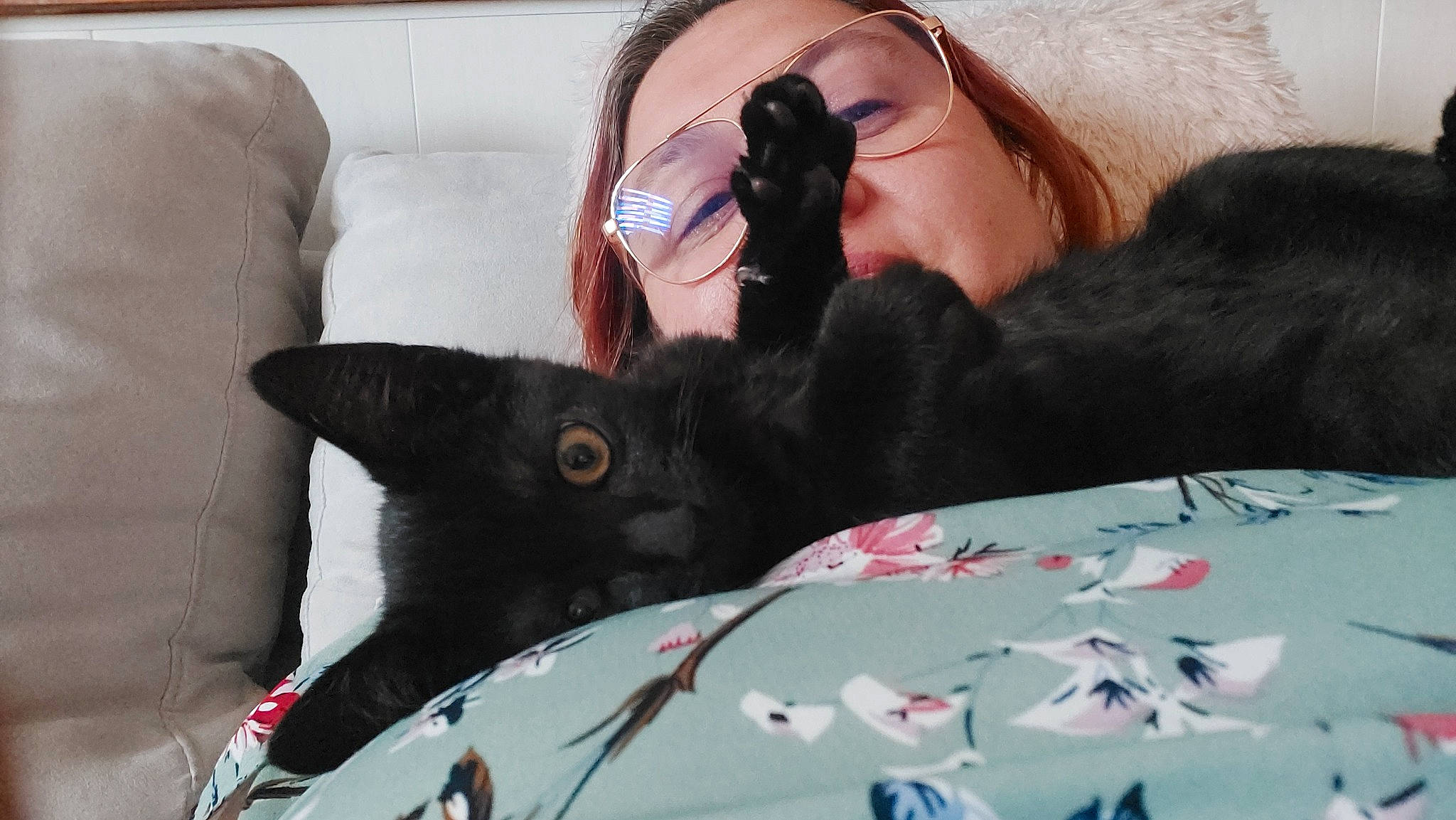 Odin a rejoint le concours — aidez-le/la à gagner de superbes lots ! bed, black_cat, black_hair, carnivore, cat, comfort, companion_dog, couch, eyewear, felidae, fur, gesture, goggles, human_leg, linens, small_to_medium_sized_cats, snout, sunglasses, thigh, whiskers