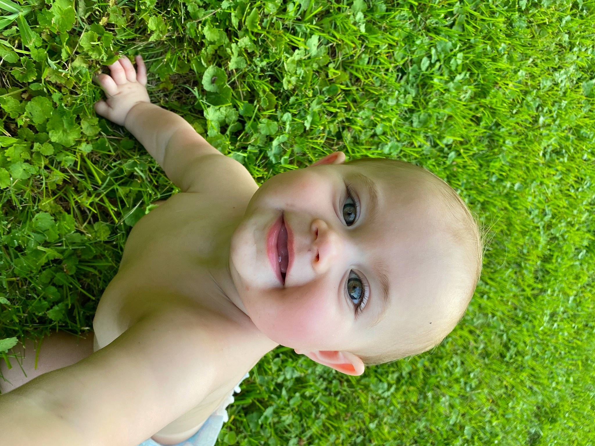 Kaliyah joined the competition — help win amazing prizes! baby, eye, eyelash, fawn, grass, happy, head, human_body, joy, leaf, lip, nose, people_in_nature, person, plant, skin, smile, toddler, tree, vegetation