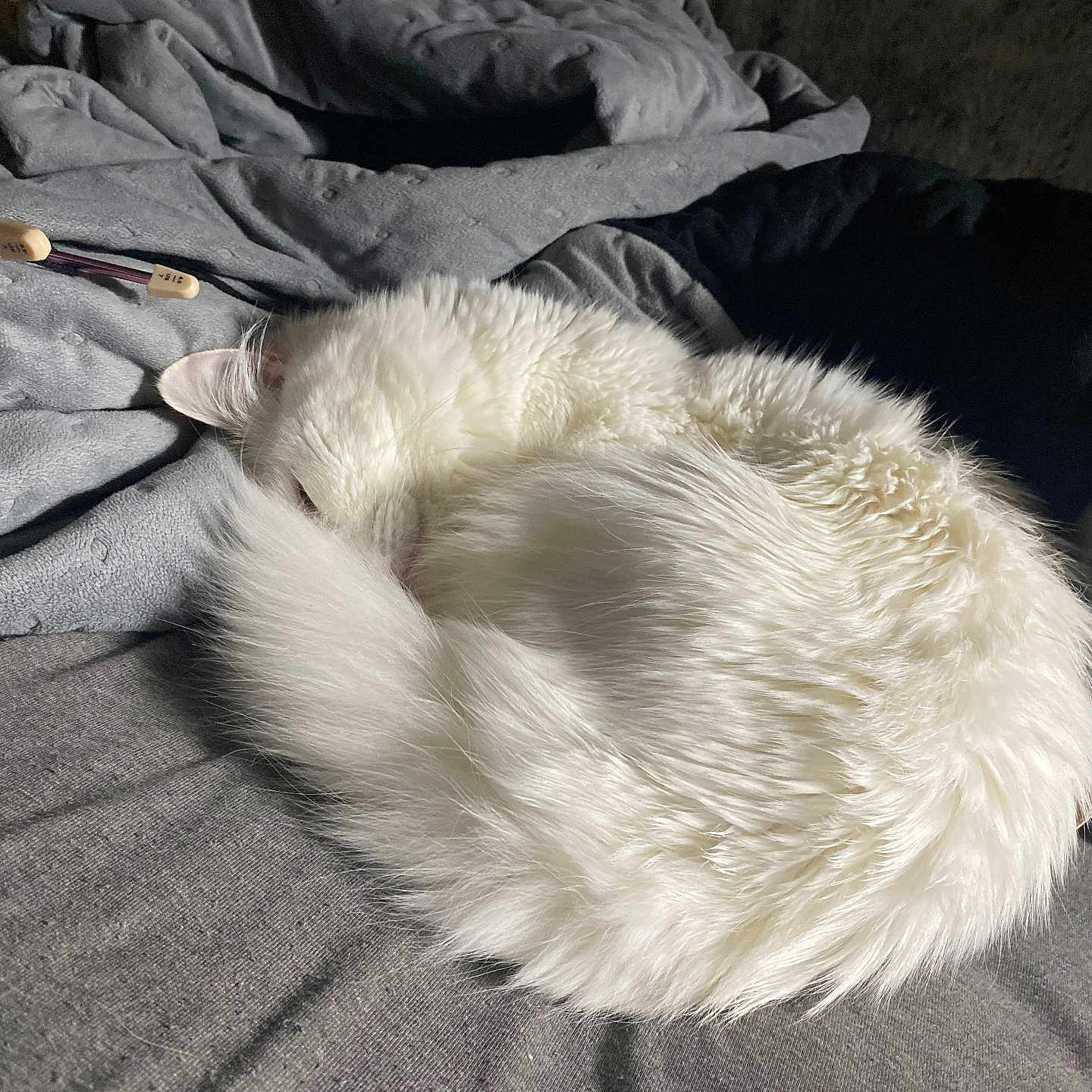 Olaf