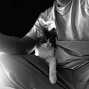 Sakura participe au concours pour gagner de l'argent avec cette photo : black_and_white, cat, person, tattoo, sitting, indoor, relaxed, casual_clothing, arm, pet, comfort, legs, portrait, animal, feline, monochrome, closeup, human, resting, companion