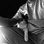 black_and_white, cat, person, tattoo, sitting, indoor, relaxed, casual_clothing, arm, pet, comfort, legs, portrait, animal, feline, monochrome, closeup, human, resting, companion