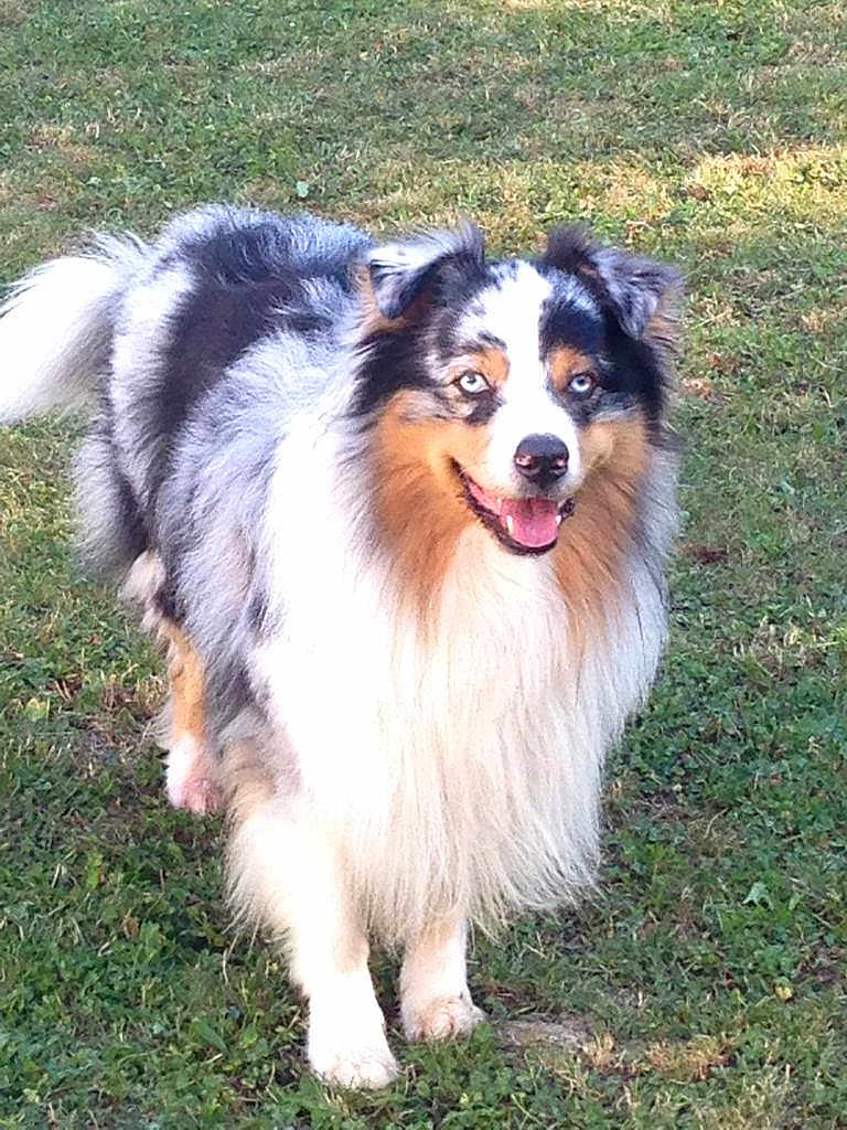 Helios