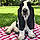 Leroy Brown