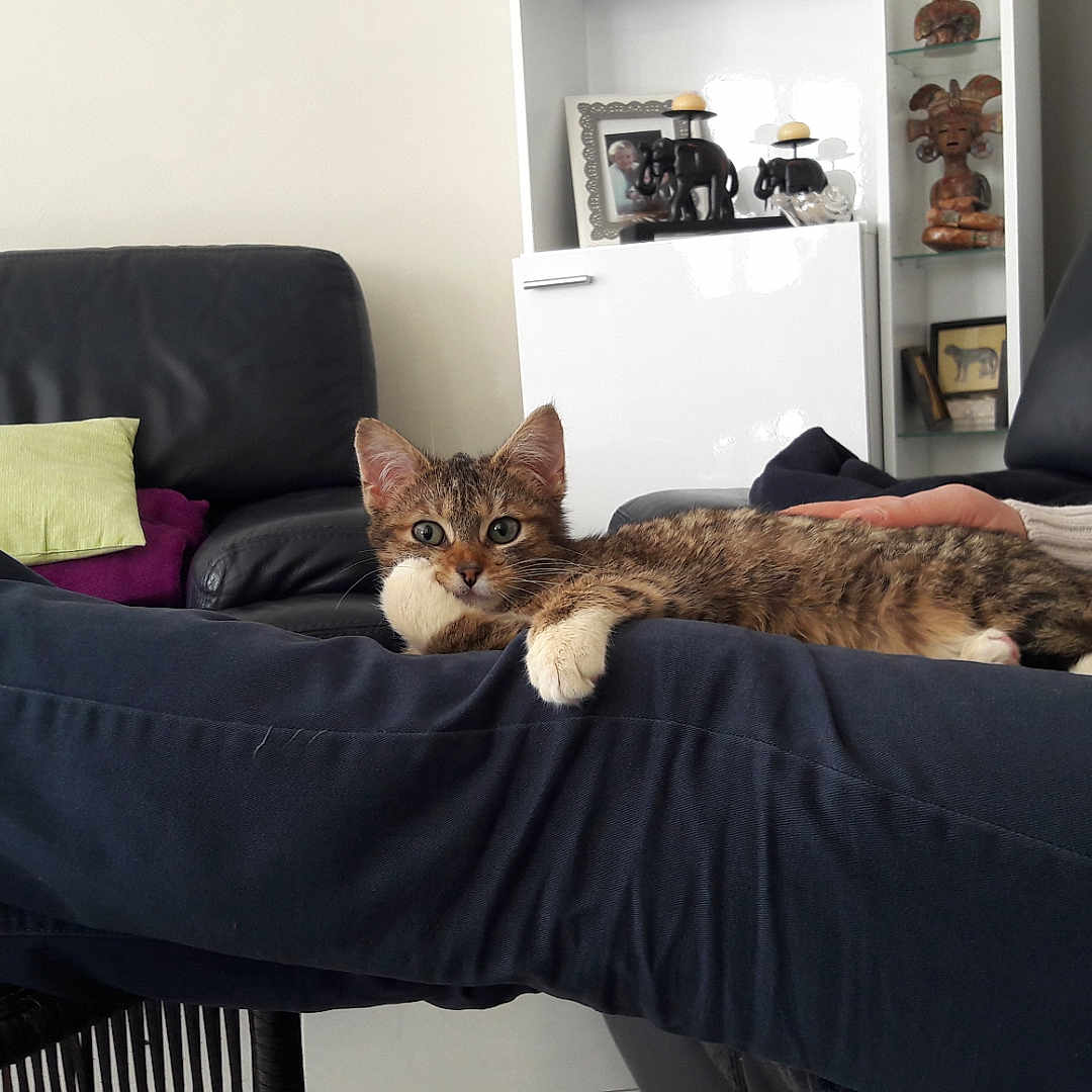 Matie