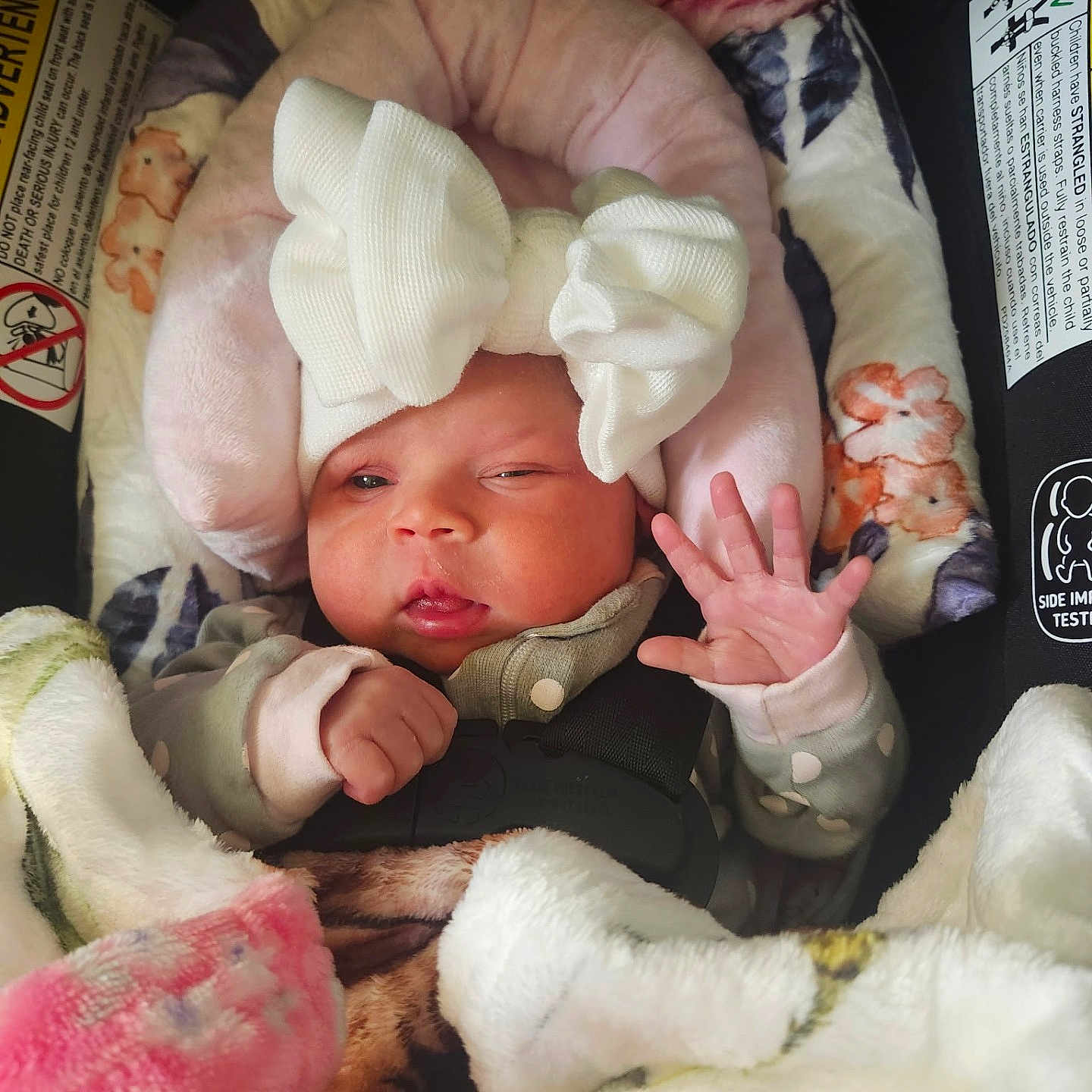 Raynelynn is registered to the contest to win money with this photo: baby, blanket, bow, car_seat, cozy, eyes, face, floral, hand, harness, headwrap, infant, lips, newborn, pink, plush, portrait, seatbelt, swaddle, tiny_hand