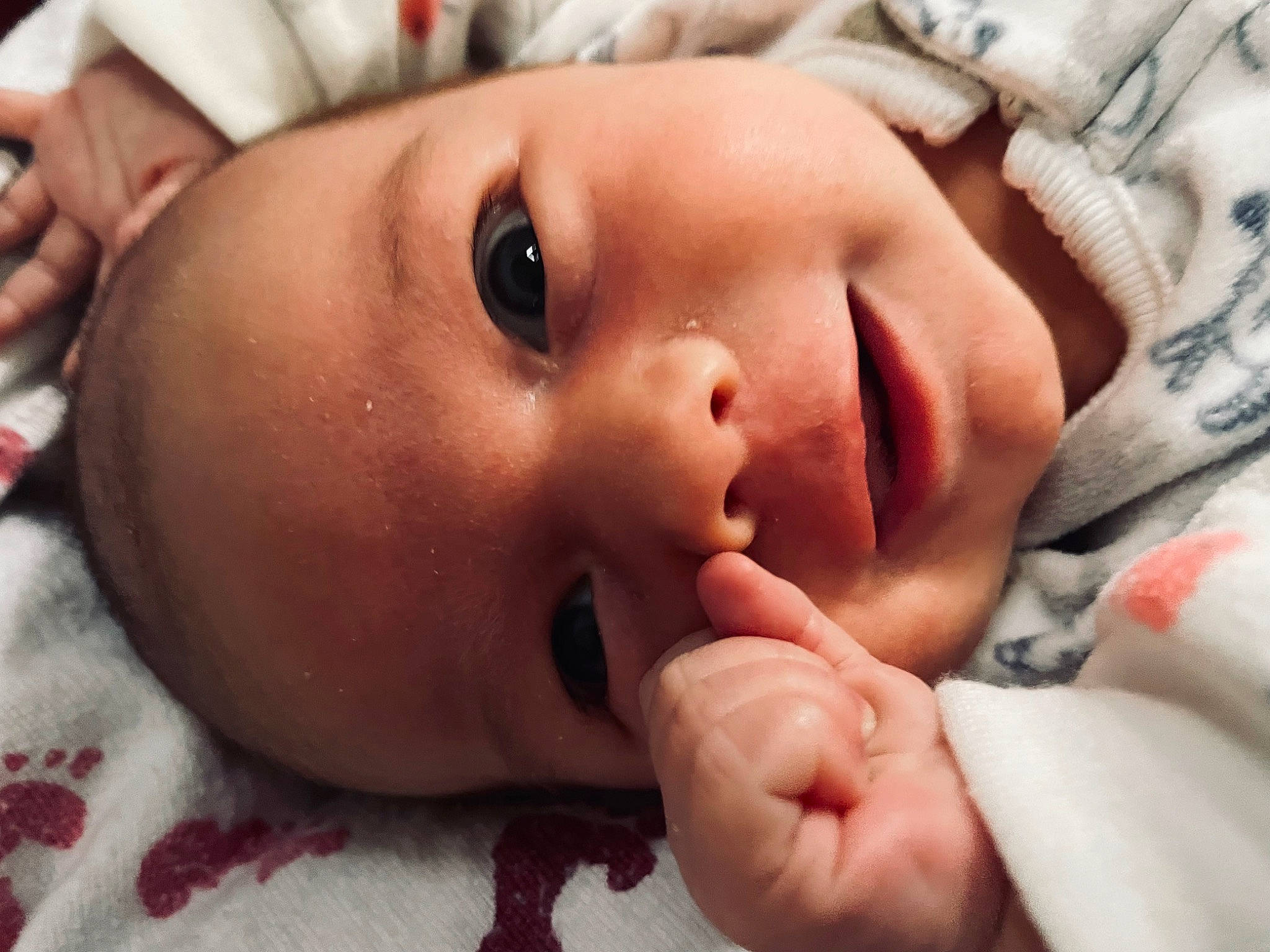 Addalynn is registered to the contest to win money with this photo: cheek, chin, ear, eye, eyebrow, eyelash, face, finger, forehead, gesture, hand, happy, head, human_body, iris, lip, mouth, neck, nose, person