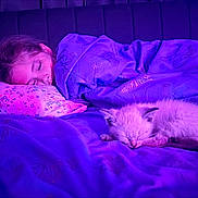 Nala is registered to the contest to win money with this photo: animal, bed, blanket, butterfly_pattern, child, comfort, cozy, cute, fur, indoor, kitten, peaceful, pet, pillow, purple_light, quiet, rest, sleeping, soft, young