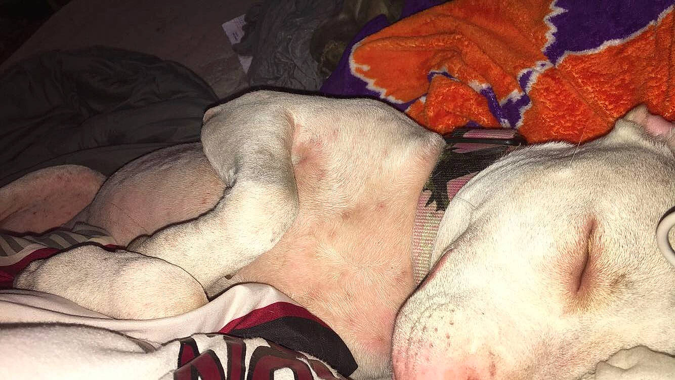 Rosie joined the competition — help win amazing prizes! art, flesh, hand, human_body, leg, muscle, sporting_group