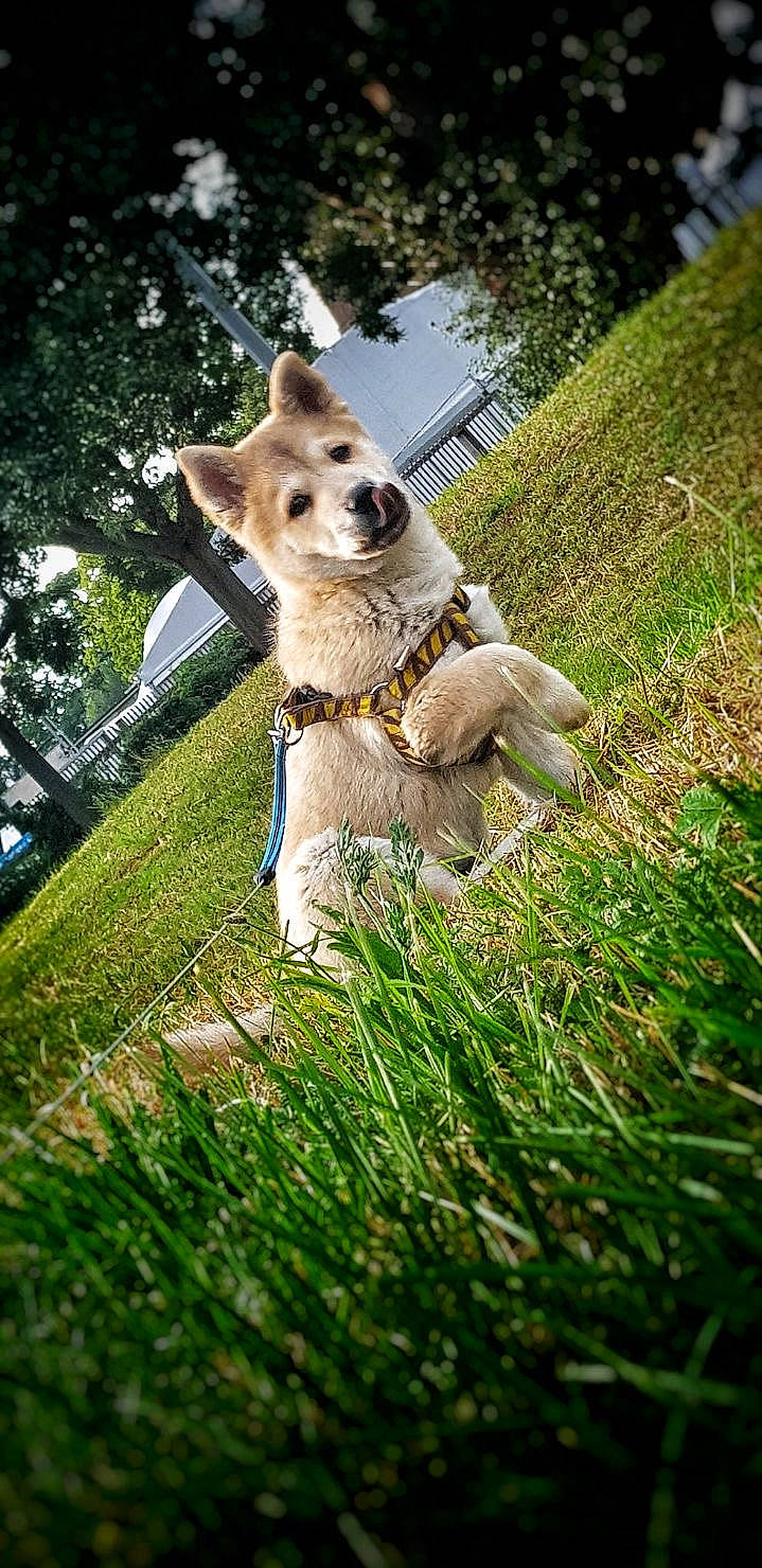 Rio