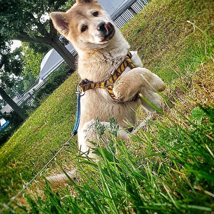 Rio