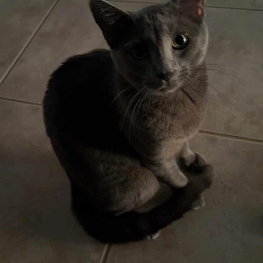 Luna