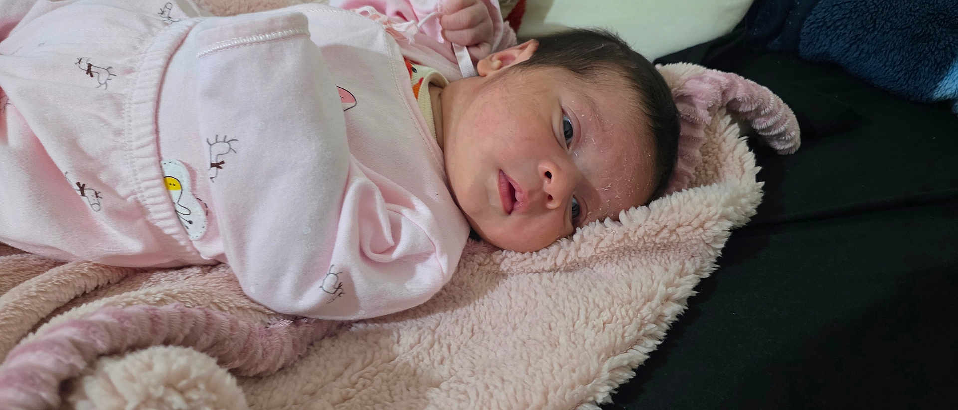 Aslyn is registered to the contest to win money with this photo: baby, infant, blanket, pink_clothing, lying_down, face, sleepy, soft_texture, newborn, cute, toddler, skin, head, indoors, person, cozy, warm, resting, child, young
