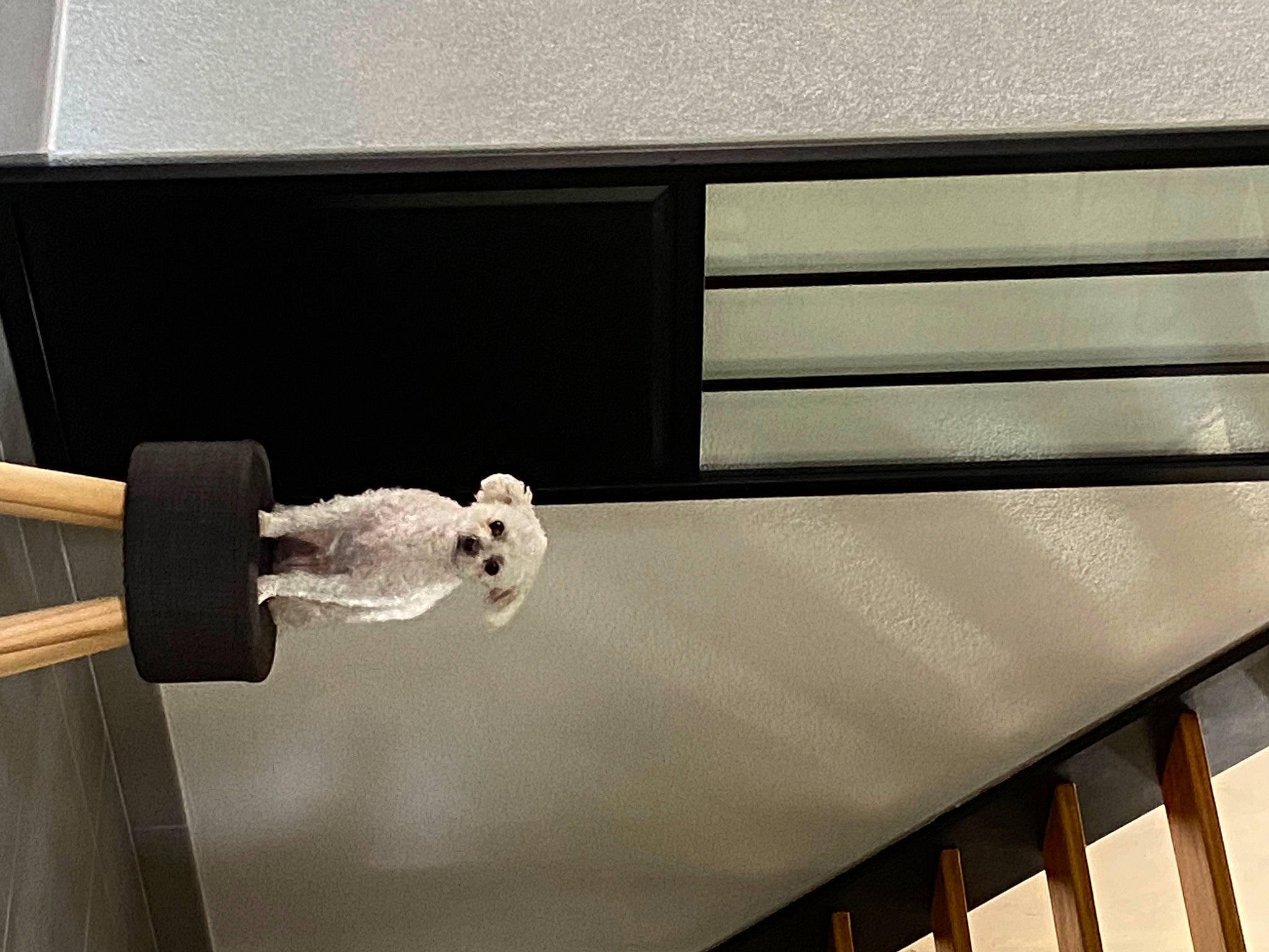 Joya a rejoint le concours — aidez-le/la à gagner de superbes lots ! beam, cable, ceiling, daylighting, elbow, handrail, hardwood, light_fixture, line, machine, metal, rectangle, room, shade, shadow, steel, tints_and_shades, window_covering, wire, wood