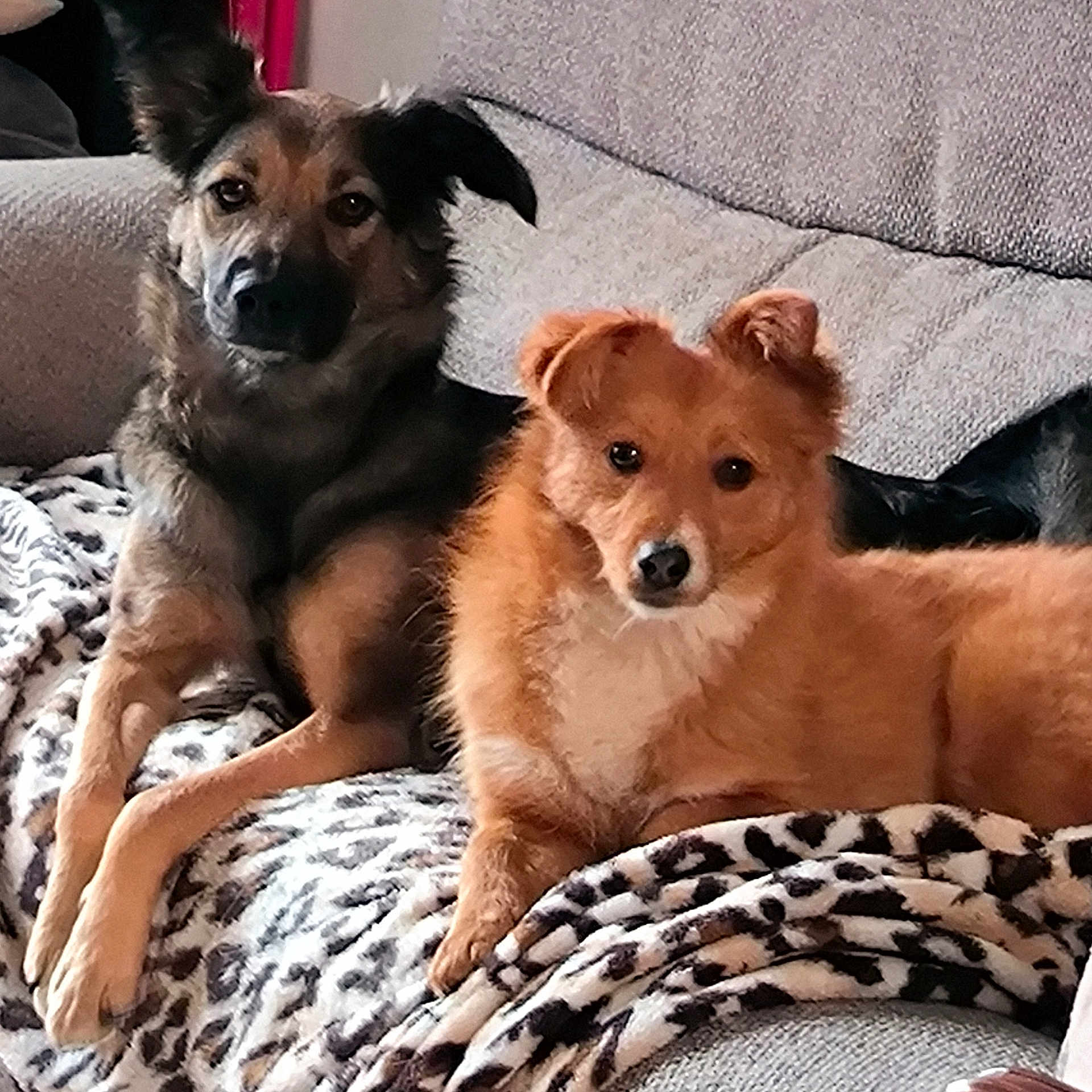 Wendy Et Misstinguet