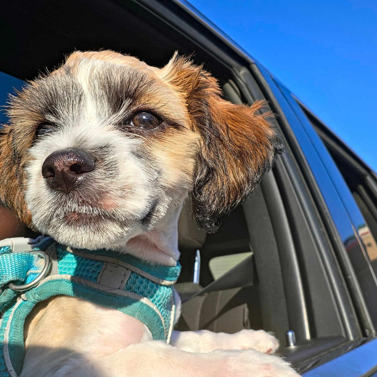 Roscoe