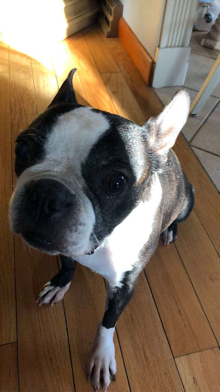 Molly