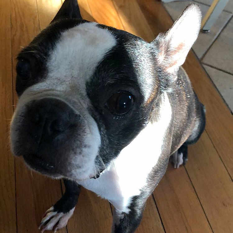 Molly