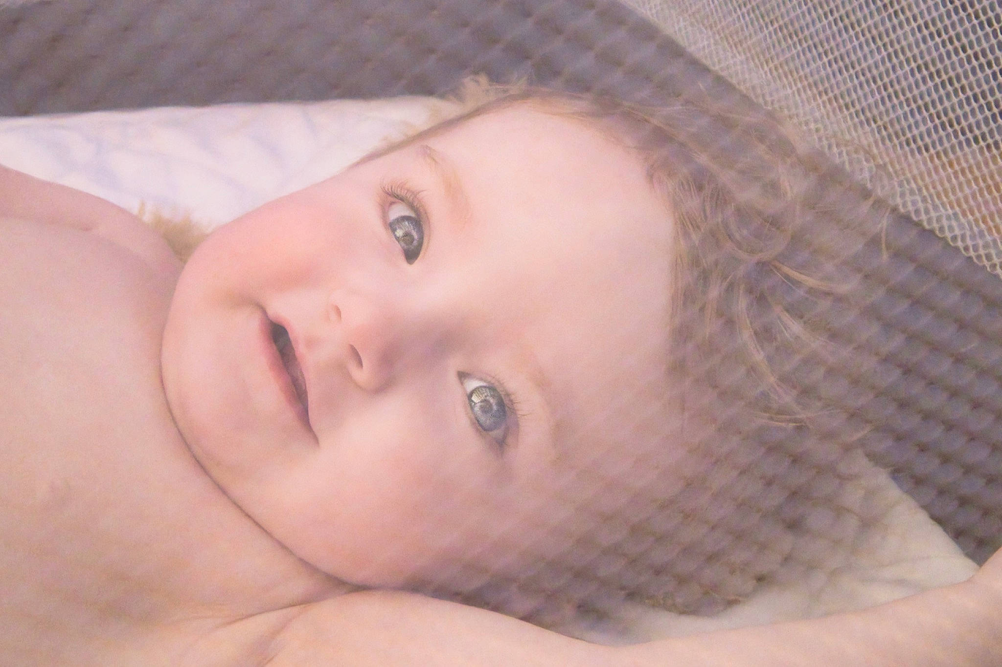 Alora joined the competition — help win amazing prizes! baby, cheek, chin, eye, eyebrow, eyelash, face, facial_expression, forehead, hair, head, headgear, human_body, iris, lip, mammal, mouth, nose, person, skin