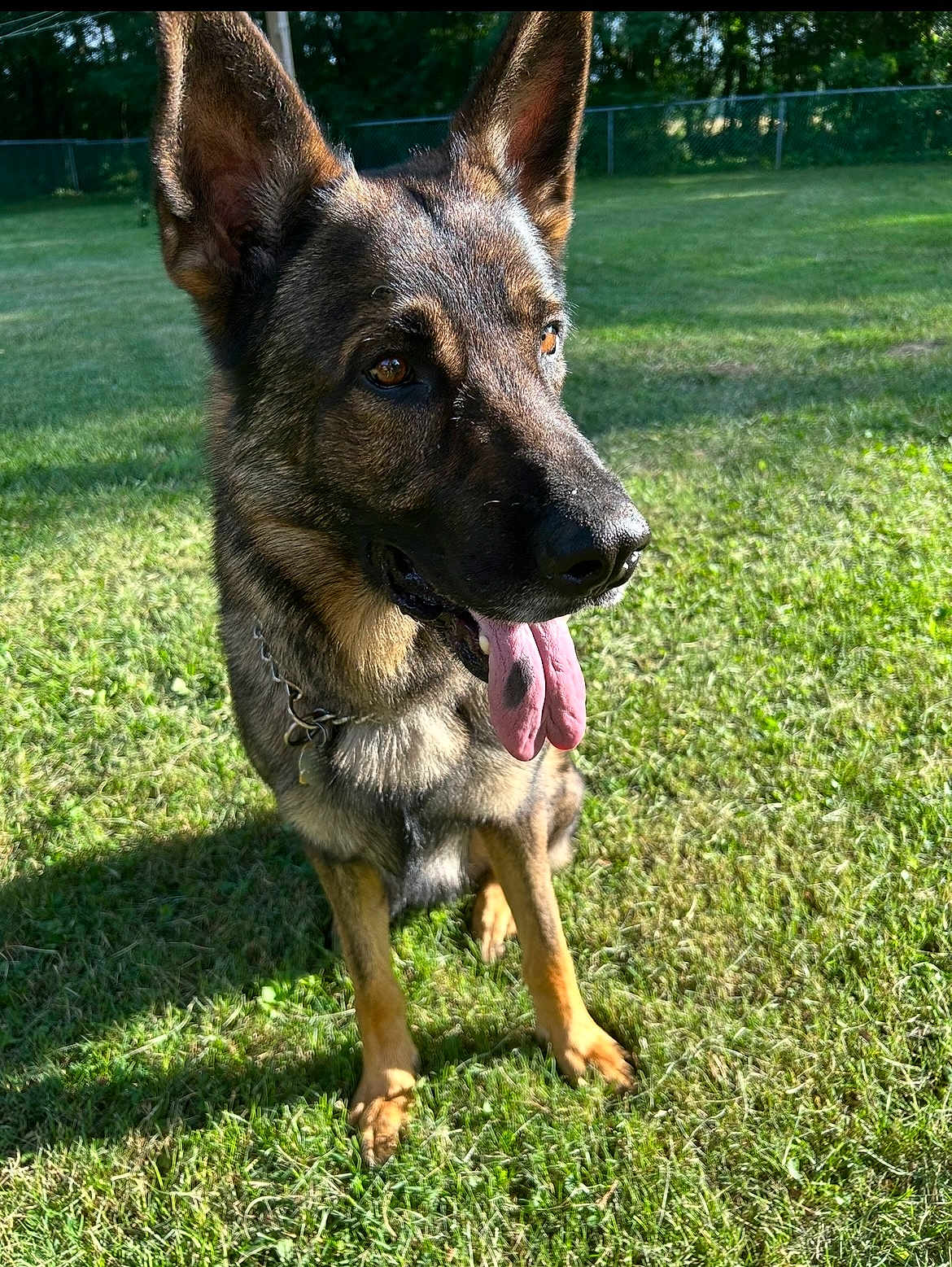 Leo