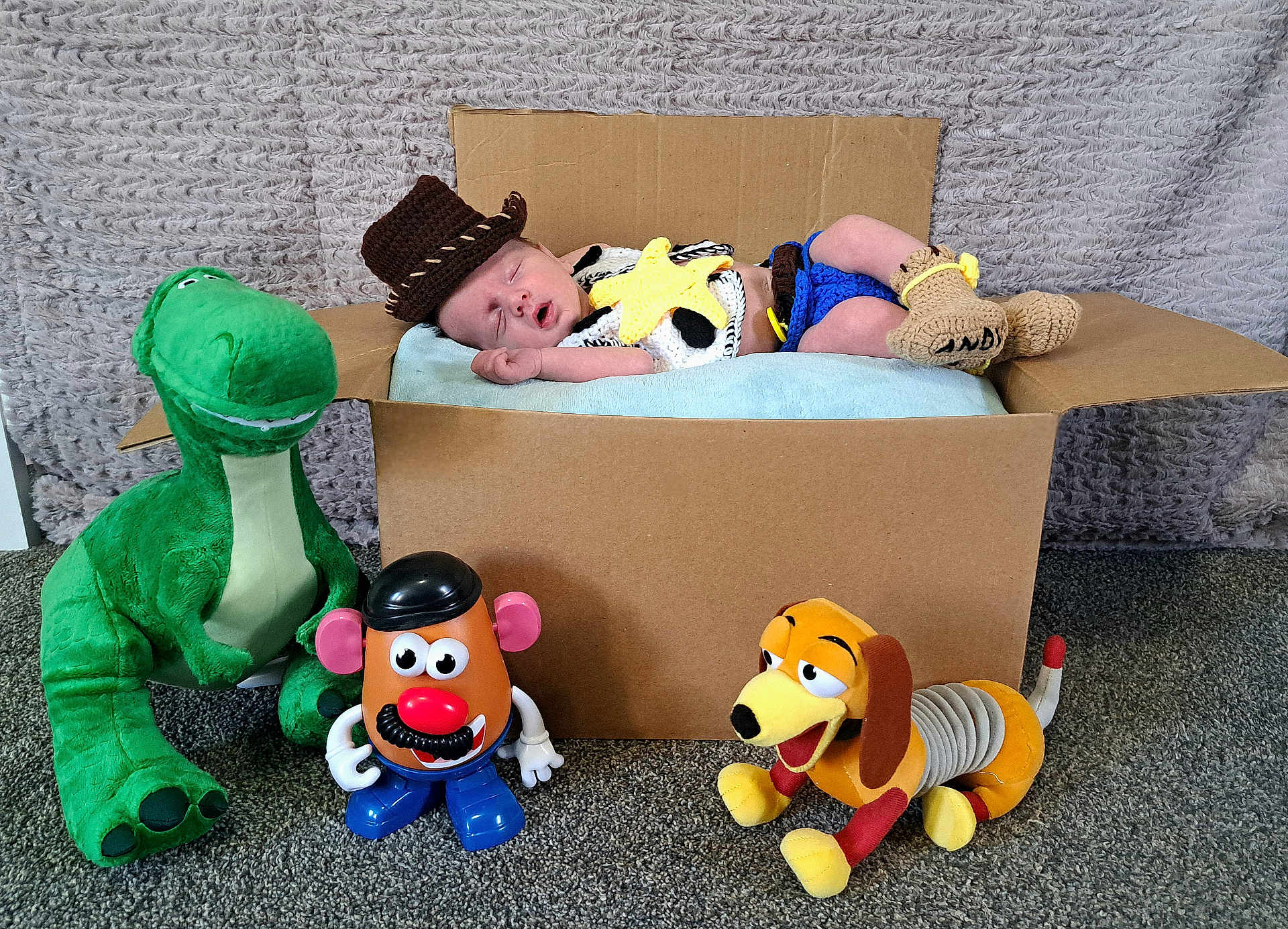 Elick joined the competition — help win amazing prizes! baby, newborn, sleeping, cardboard_box, woody_costume, plush_toy, rex_dinosaur, mr_potato_head, slinky_dog, carpet, blanket, hat, gloves, indoor, cute, child, toy_story, costume, resting, soft_texture