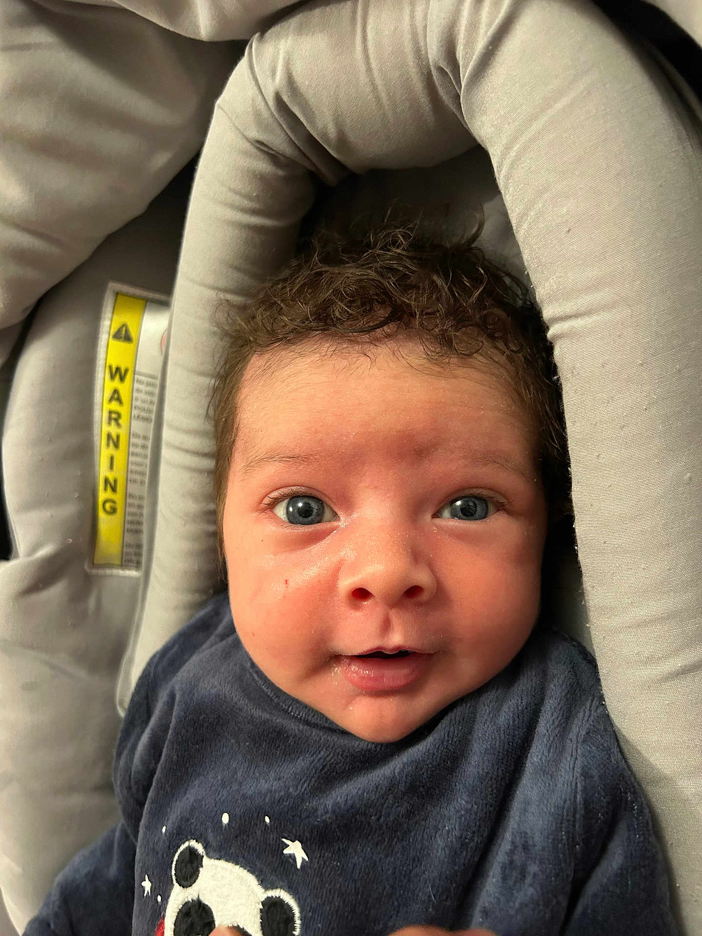 Aylan a rejoint le concours — aidez-le/la à gagner de superbes lots ! baby, infant, child, face, eyes, curly_hair, blue_eyes, clothing, panda_design, seat, cushion, soft_lighting, portrait, cute, expression, indoors, closeup, person, newborn, comfortable