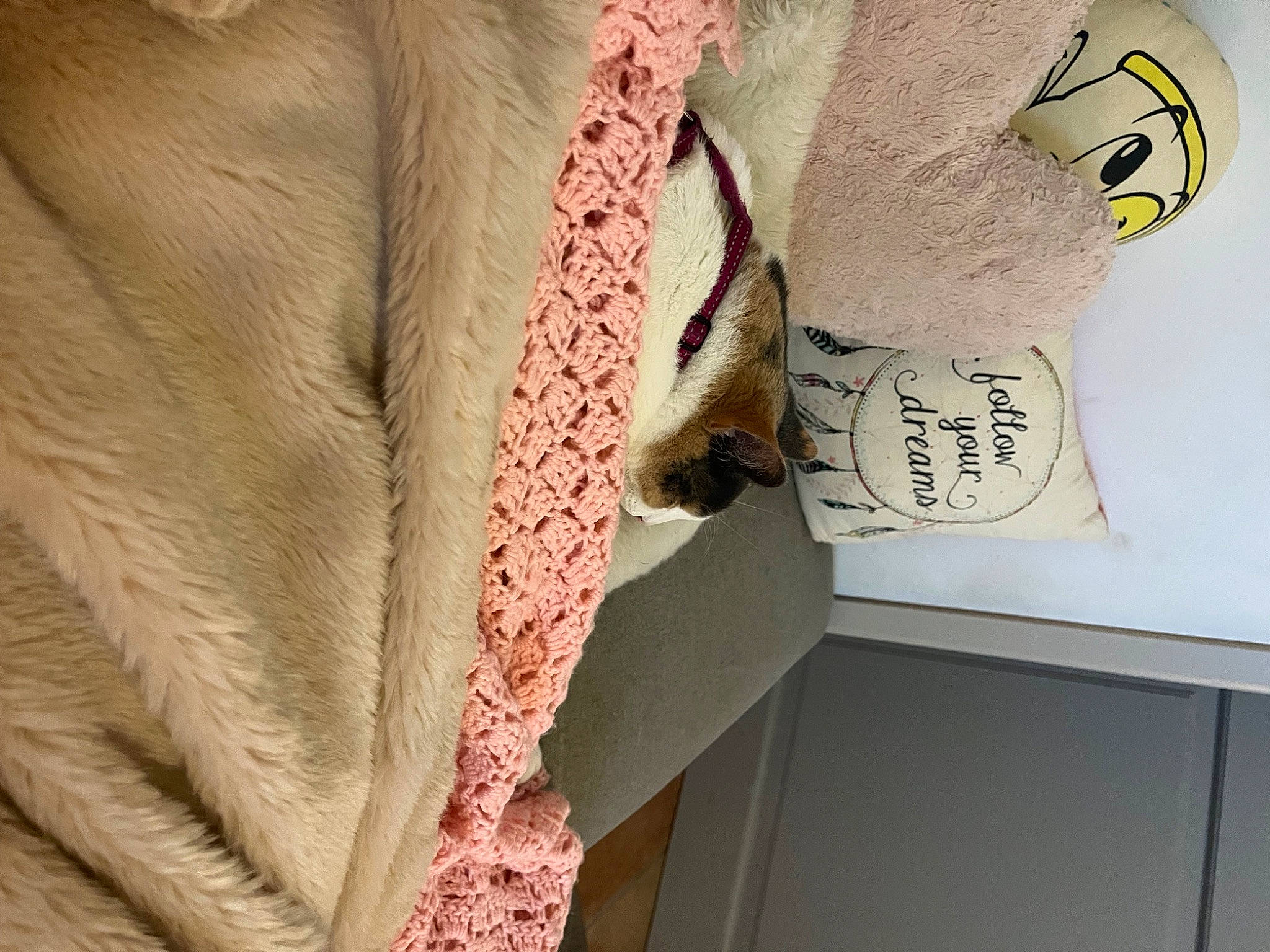 Maori participe au concours pour gagner de l'argent avec cette photo : blazer, carmine, dress_shirt, fashion_accessory, fashion_design, font, formal_wear, fur, handwriting, ink, linens, magenta, paper, paper_product, pattern, peach, room, sleeve, visual_arts, wood