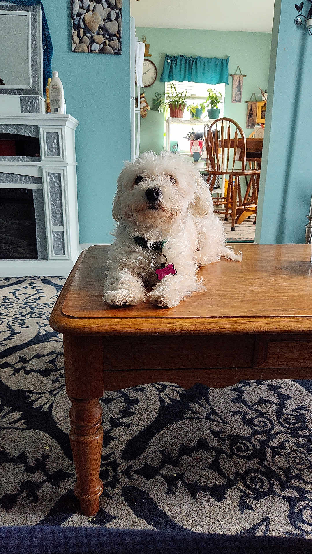 Chloe