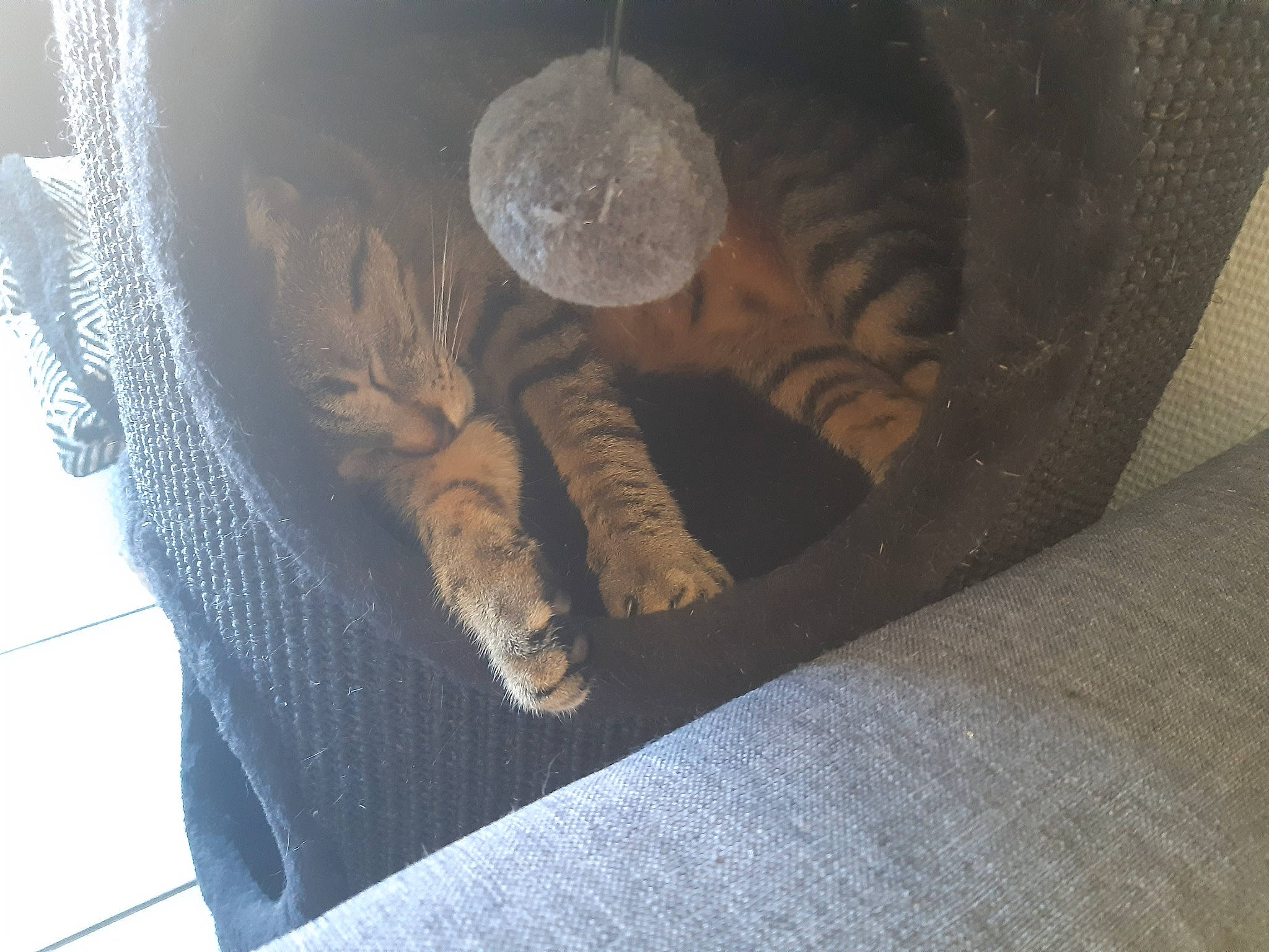 Athéna a rejoint le concours — aidez-le/la à gagner de superbes lots ! art, auto_part, automotive_tire, automotive_wheel_system, carving, ceiling, darkness, flooring, foot, glove, human_leg, metal, pattern, personal_protective_equipment, pipe, reptile, room, terrestrial_animal, tints_and_shades, wood