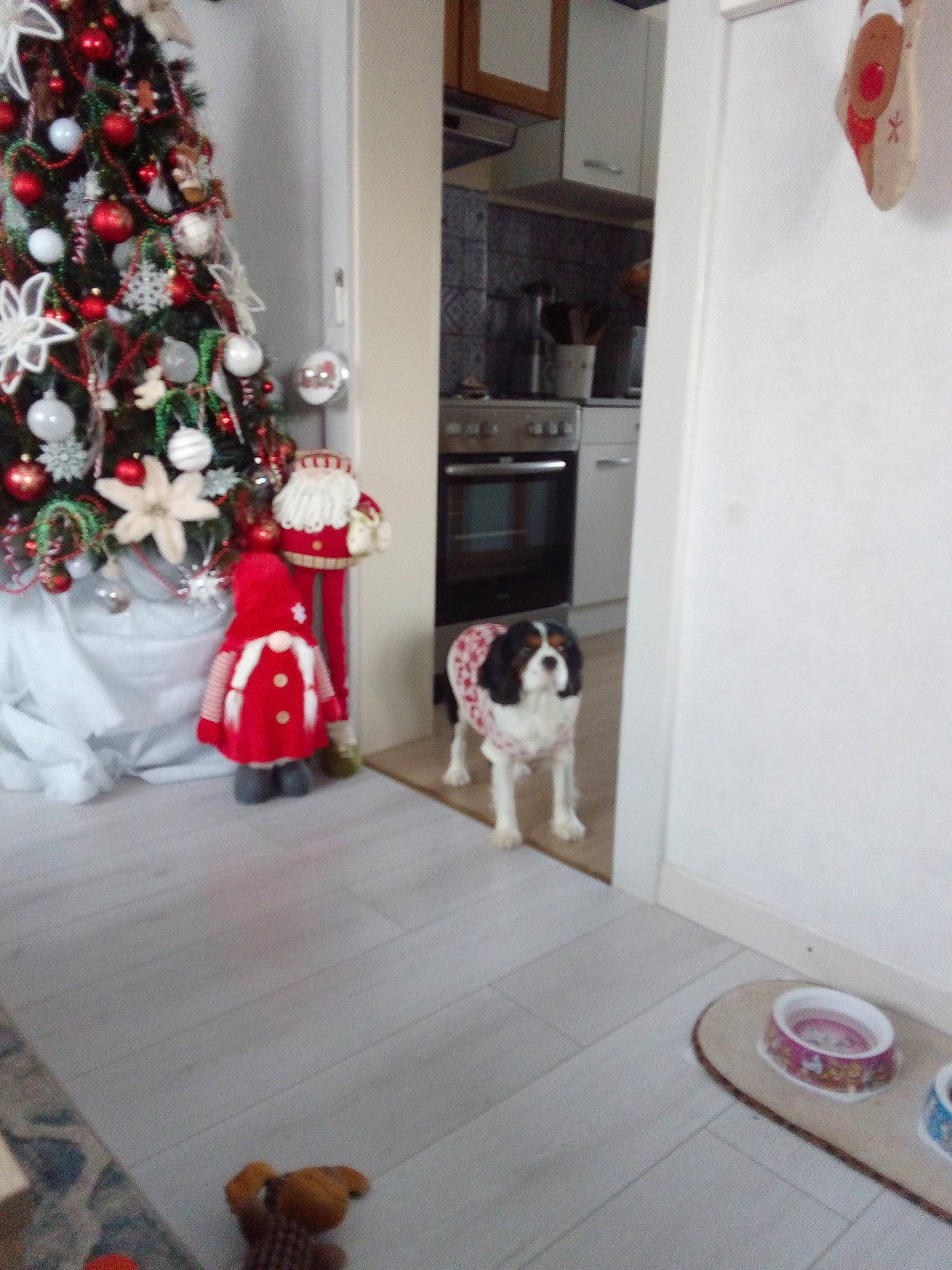 Marley a rejoint le concours — aidez-le/la à gagner de superbes lots ! canidae, christmas, christmas_decoration, christmas_eve, christmas_ornament, christmas_tree, dog, door, fawn, floor, french_bulldog, holiday, home, house, interior_design, non_sporting_group, room, sporting_group, tree